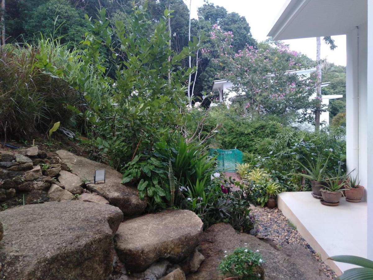 Perfect Sea View Mountain Villa Koh Samui Chaweng Beach Buitenkant foto