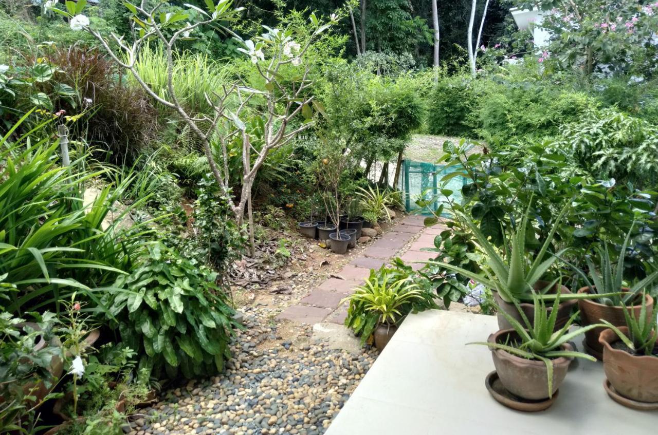Perfect Sea View Mountain Villa Koh Samui Chaweng Beach Buitenkant foto